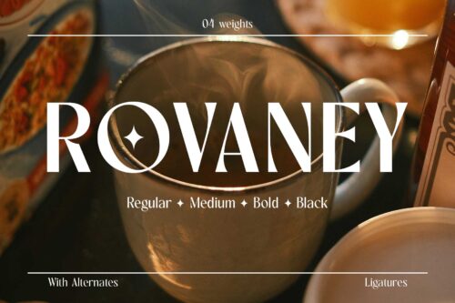 Rovaney - Fancy Font Family