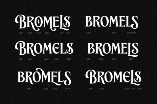 Brillante Siempre Font a sophisticated serif style