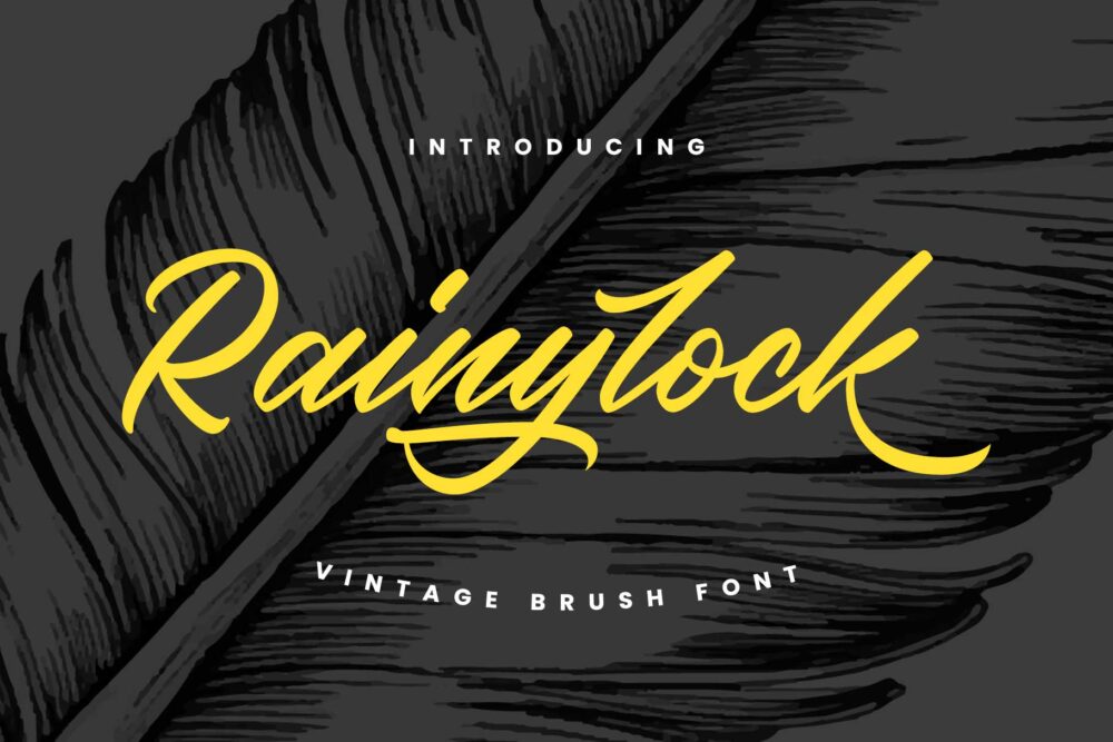 Rainylock Handwritten Script font with playful brush strokes and swashes