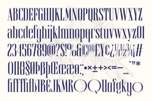 Brozeri modern serif typeface for headlines and fashion design