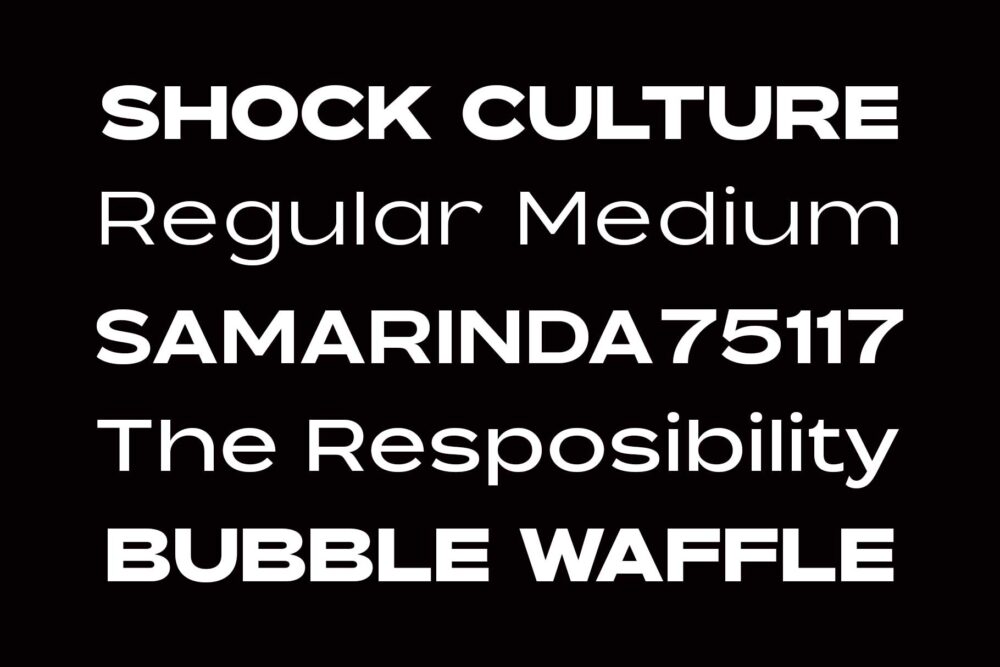 Expanded Sans Serif Family