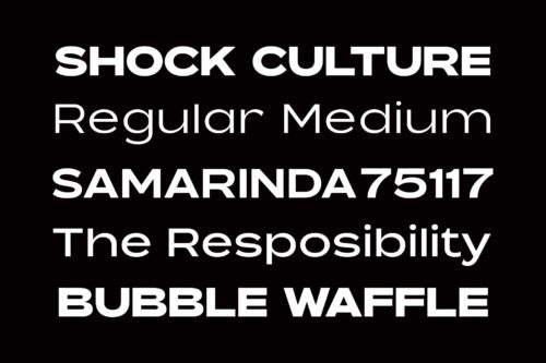 Expanded Sans Serif Family