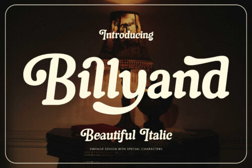 Beautiful vintage font for branding