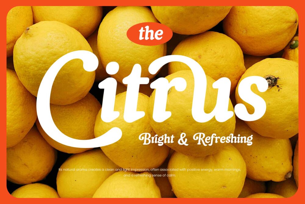 Beautiful vintage font for branding