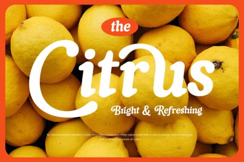 Beautiful vintage font for branding