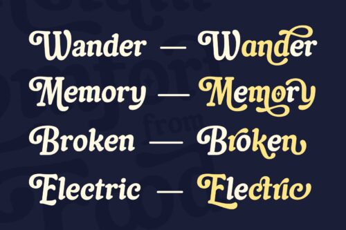 Beautiful vintage font for branding