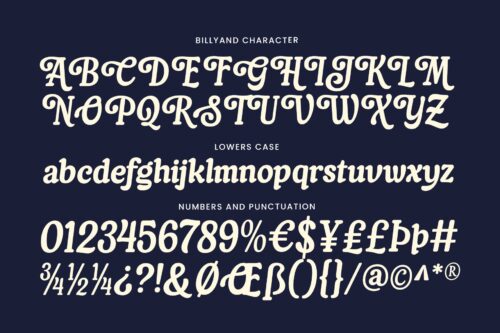 Beautiful vintage font for branding
