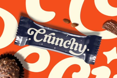 Beautiful vintage font for branding