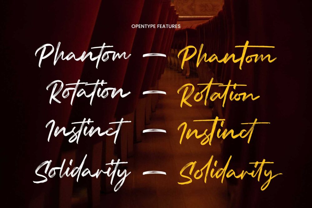 Relsika rough script font with expressive handwritten brush style
