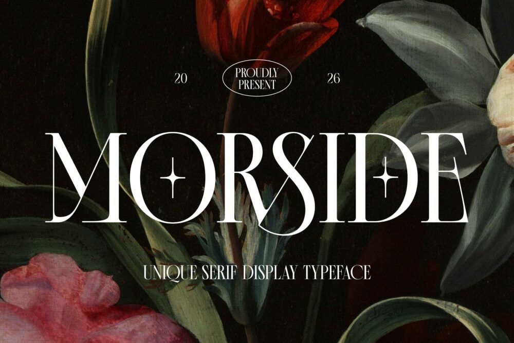 Elegant modern classic serif font for wedding and branding