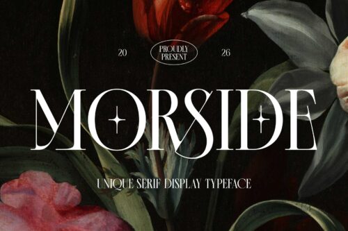 Elegant modern classic serif font for wedding and branding