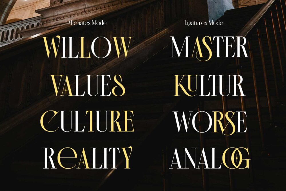 Elegant modern classic serif font for wedding and branding