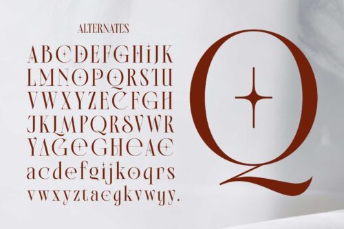 Elegant modern classic serif font for wedding and branding
