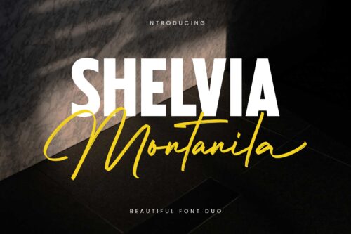 elegant font duo with bold sans and handwritten signature style