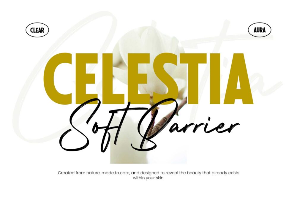 elegant font duo with bold sans and handwritten signature style