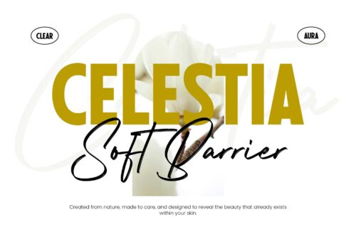elegant font duo with bold sans and handwritten signature style