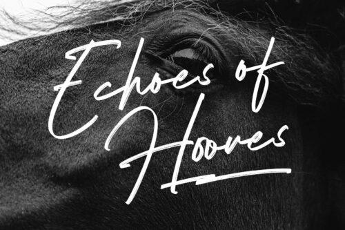 elegant font duo with bold sans and handwritten signature style