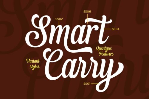 Youth Shandey bold brush lettering style for branding and headlines