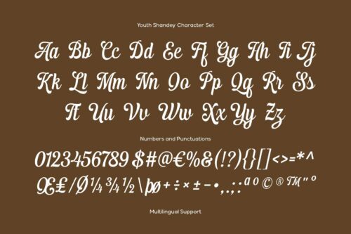 Youth Shandey bold brush lettering style for branding and headlines
