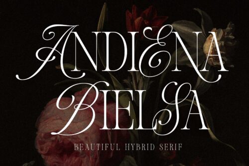 Andiena Bielsa modern classic hybrid serif font preview