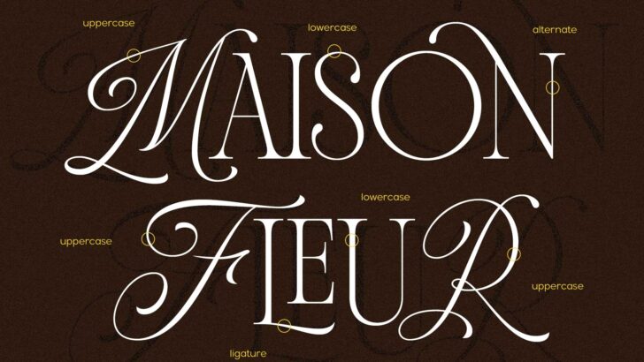 Andiena Bielsa ligatures and alternates preview