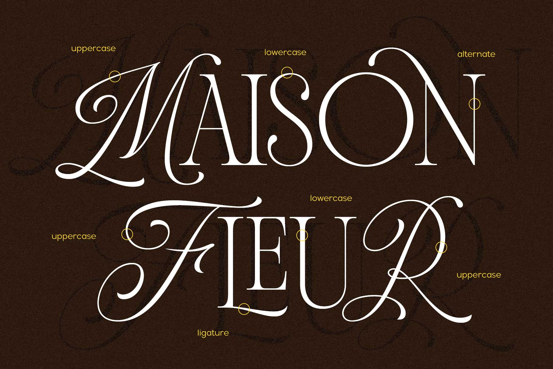 Andiena Bielsa ligatures and alternates preview