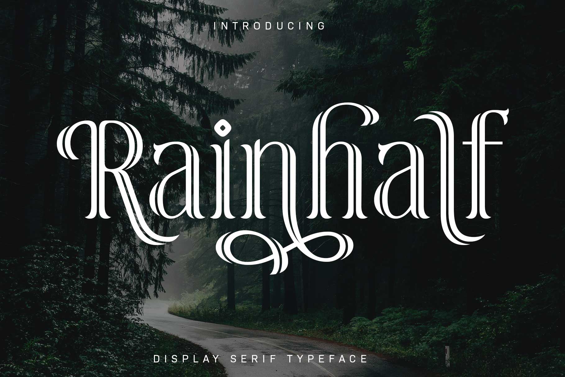 Rainhalf – Decorative Serif Display Font with Swashes & Alternates