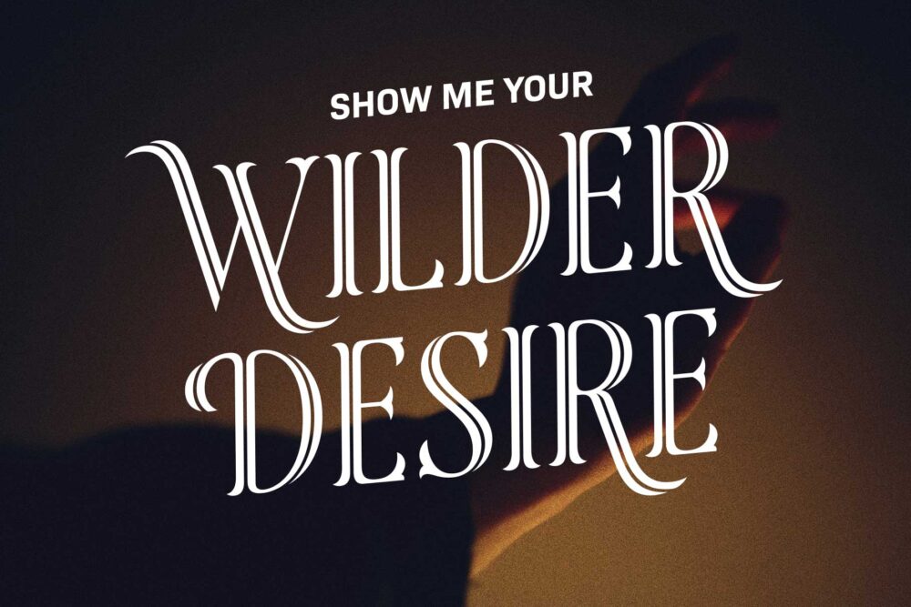 Rainhalf decorative serif display font featuring elegant swashes, stylistic alternates, and luxury typography for branding and editorial design.