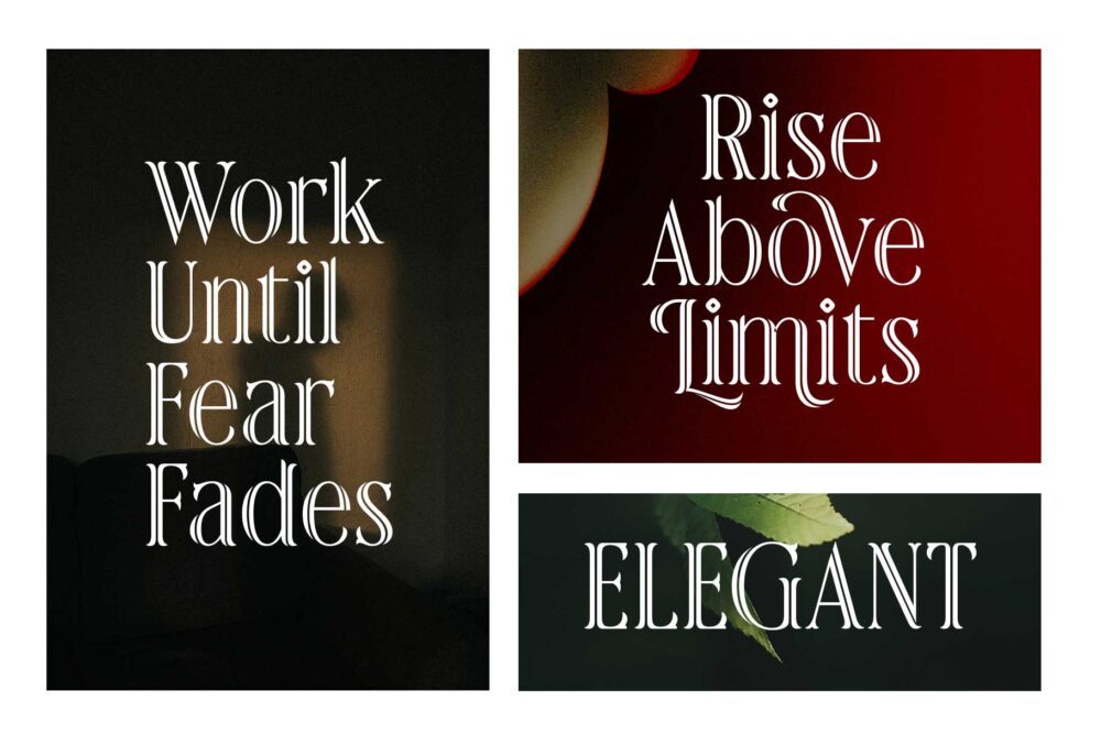 Rainhalf decorative serif display font featuring elegant swashes, stylistic alternates, and luxury typography for branding and editorial design.