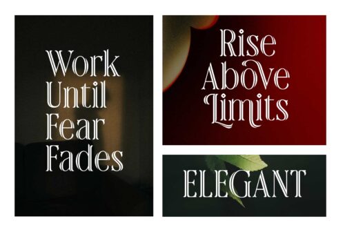 Rainhalf decorative serif display font featuring elegant swashes, stylistic alternates, and luxury typography for branding and editorial design.