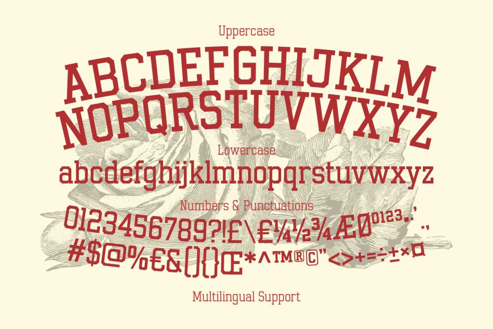 Gumbolt vintage varsity slab serif font for sports and collegiate branding