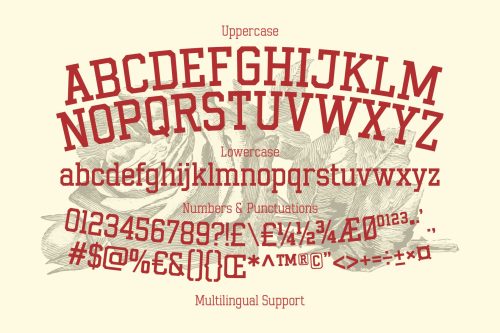 Gumbolt vintage varsity slab serif font for sports and collegiate branding