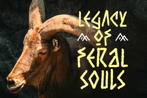 Ancient Curse font preview