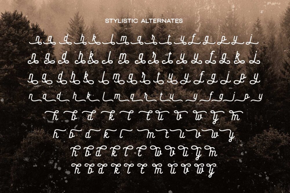 Baloghen vintage monoline script font specimen