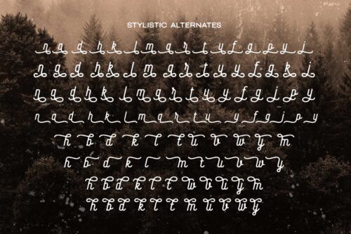 Baloghen vintage monoline script font specimen