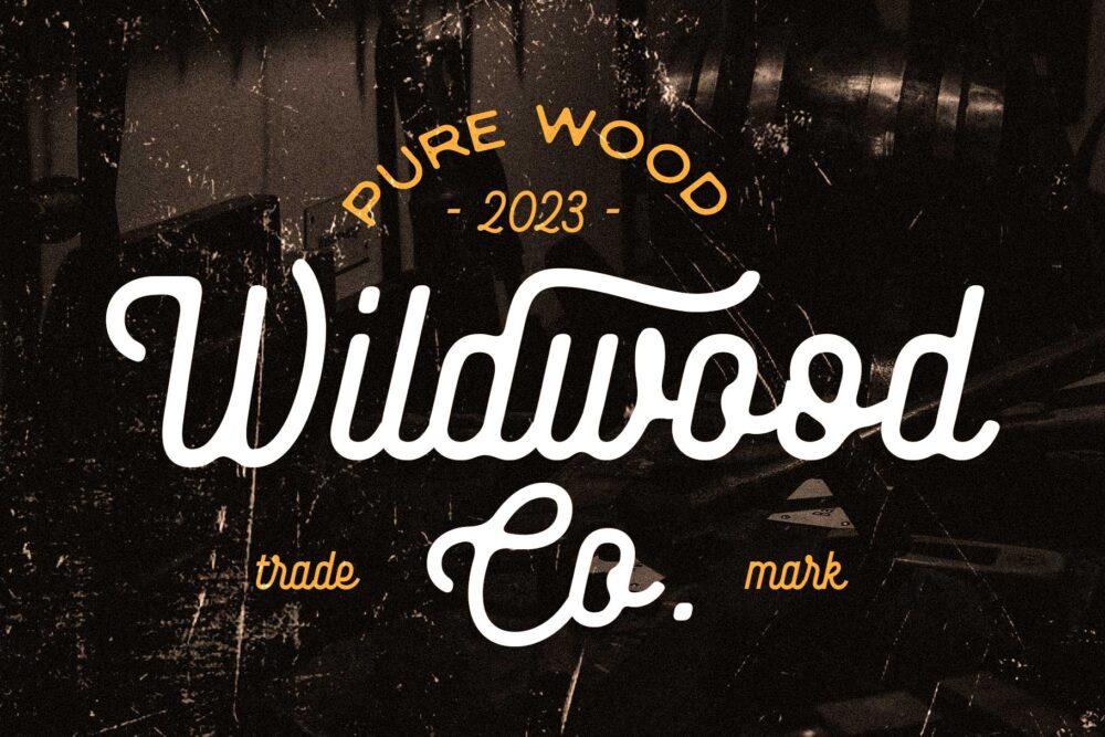 Baloghen vintage monoline script font specimen